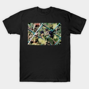 Blackberries T-Shirt